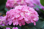 rapport072008-06-14 rapport072008-06-14