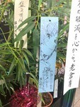 samlie2018-09-29 samlie2018-09-29