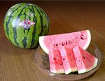 SUICA SUICA