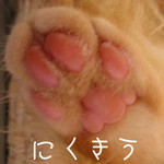 ¤Ë¤¯¤¤¦¤À¤Ã¤Æ¿Í´Ö¤Ç¤¹¡£ ¤Ë¤¯¤¤¦¤À¤Ã¤Æ¿Í´Ö¤Ç¤¹¡£