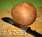 ¥Ê¥¿¤È¥³¥³¥Ê¥Ã¥Ä¤Ï¿Í´Ö¤«¤â¡£ ¥Ê¥¿¤È¥³¥³¥Ê¥Ã¥Ä¤Ï¿Í´Ö¤«¤â¡£
