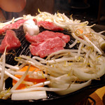 ¥¸¥ó¥®¥¹¥«¥ó¿Í´Ö ¥¸¥ó¥®¥¹¥«¥ó¿Í´Ö