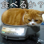 たべません。 たべません。