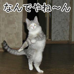 んなわけあるかい! んなわけあるかい!