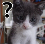 ? ?