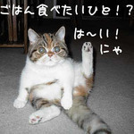 もふもふ もふもふ