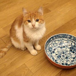 ほら、空やで。 ほら、空やで。