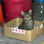 取扱注意 取扱注意