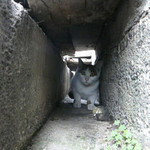 遭遇 遭遇