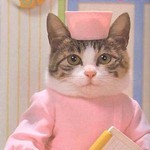 にゃーす にゃーす