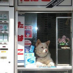 ひまだわ ひまだわ
