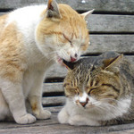 いじゃないか いじゃないか