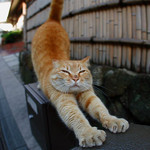 どこまでものび〜〜る どこまでものび〜〜る
