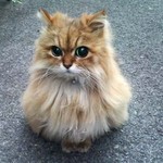 うるうるうるうる うるうるうるうる