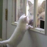 でかいおっさん でかいおっさん