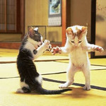 なんじゃこりゃあ なんじゃこりゃあ