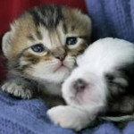 もこもこ もこもこ