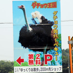 ダチョウ王国 ダチョウ王国