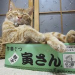 猫寅さん 猫寅さん