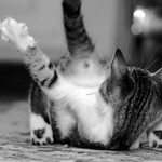 あ、穴が開いとる! あ、穴が開いとる!
