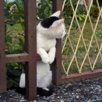 ひそひそ ひそひそ