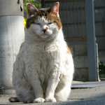 我の話を聞くがよい 我の話を聞くがよい