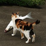 大漁〜〜♪ 大漁〜〜♪