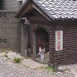 将棋王 将棋王