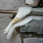 せくしーおみあし せくしーおみあし