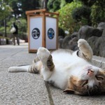 なんかようかい なんかようかい