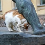 かいーの かいーの