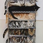 集合住宅 集合住宅