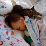 赤ちゃん&赤にゃん 赤ちゃん&赤にゃん