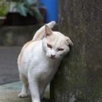 かまえ かまえ