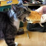 んがっ! んがっ!