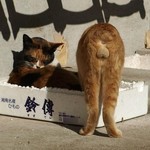 出荷前 出荷前