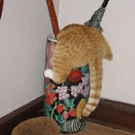 で、出られませんにゃ で、出られませんにゃ