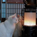 あたたかーい あたたかーい