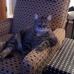 語らないか 語らないか