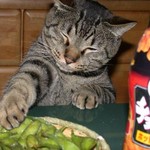 枝豆すっきやねん 枝豆すっきやねん
