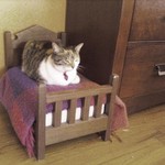 猫ベッド 猫ベッド