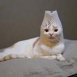どっかの王 どっかの王