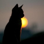 今日を生きる 今日を生きる