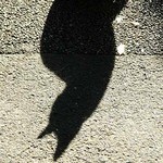わたしはだれでしょう わたしはだれでしょう