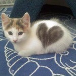 ♥ ♥