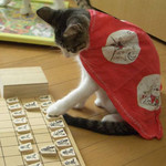 ここはこうだな ここはこうだな