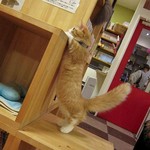 逆猫背 逆猫背