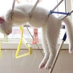 乾燥中 乾燥中
