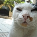 寝起き 寝起き