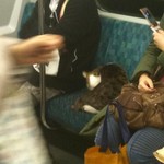 渋谷から鶯谷へ 渋谷から鶯谷へ